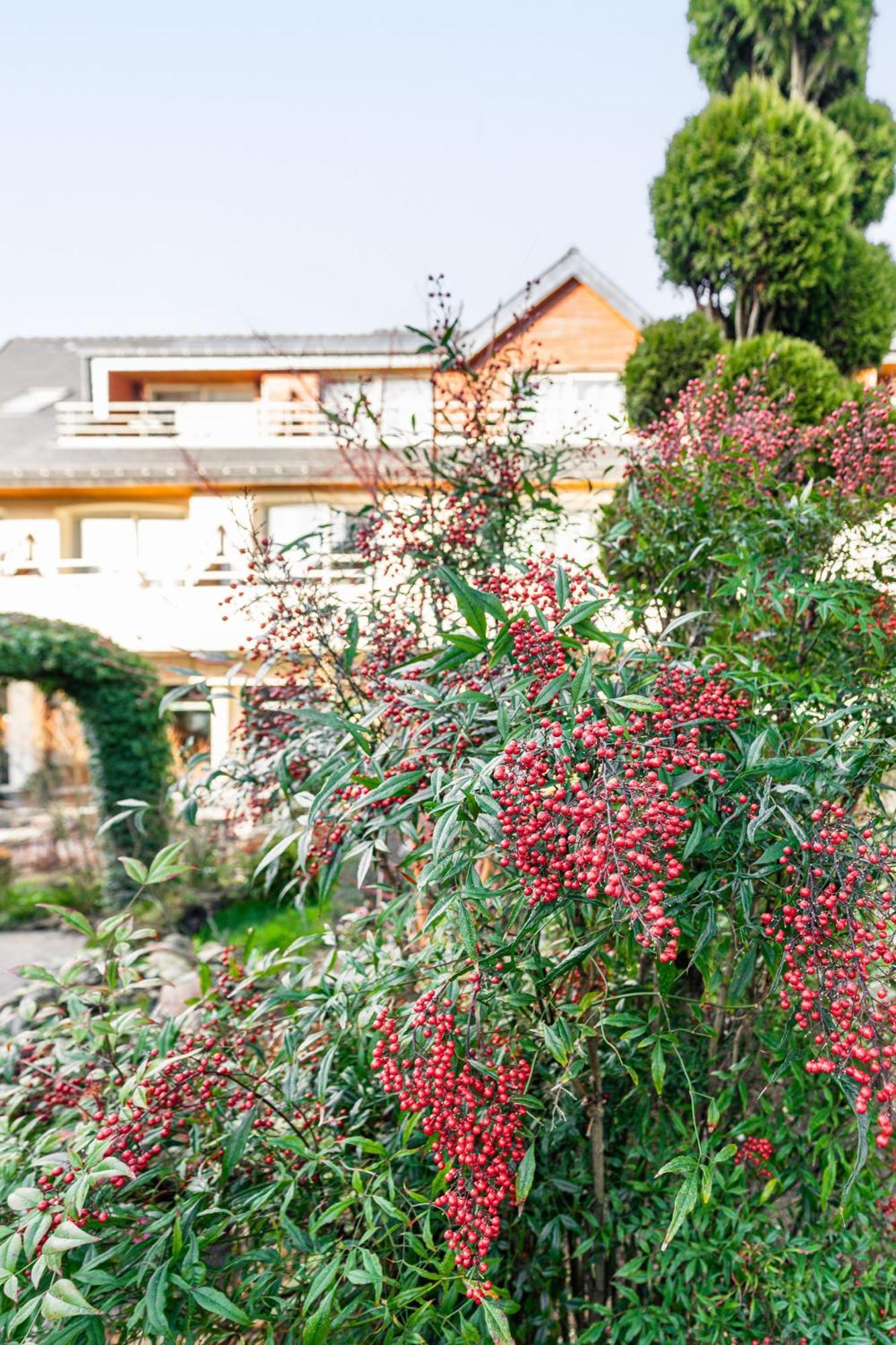 Logis L'Auberge - Maison Glenn Anna Saint Anne-dʼAuray Exterior foto